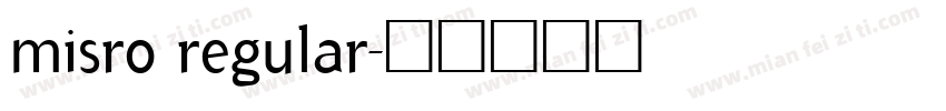misro regular字体转换
